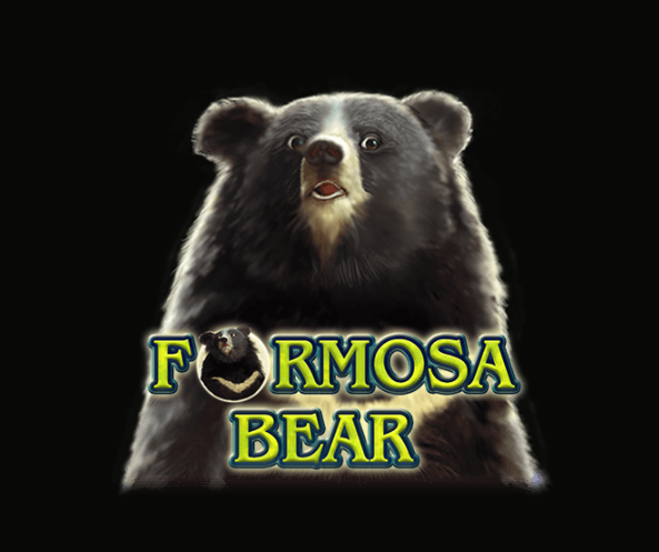 formosa, bear, ursos, cassinos, apostas, caca, niqueis, slots